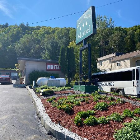Silver Maple Motel ハリバートン エクステリア 写真