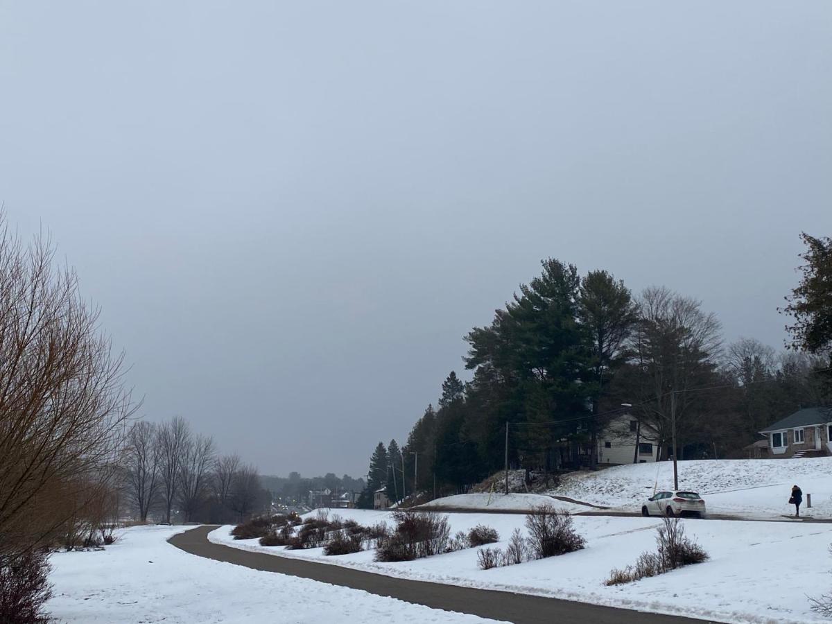 Silver Maple Motel ハリバートン エクステリア 写真